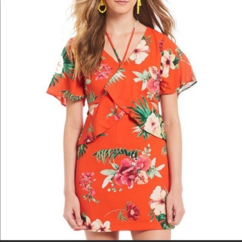 Skies are Blue floral dress